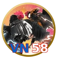 VN58