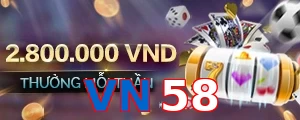 VN58