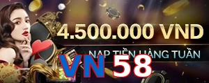 VN58