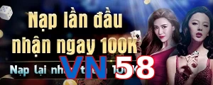 VN58