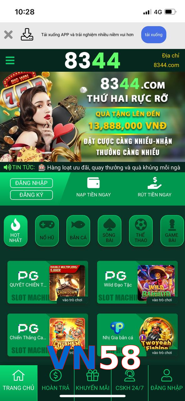 VN58