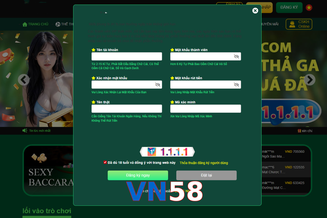VN58